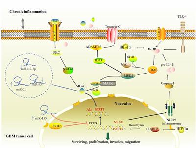 Epigenetic Underpinnings of Inflammation: A Key to Unlock the Tumor Microenvironment in Glioblastoma